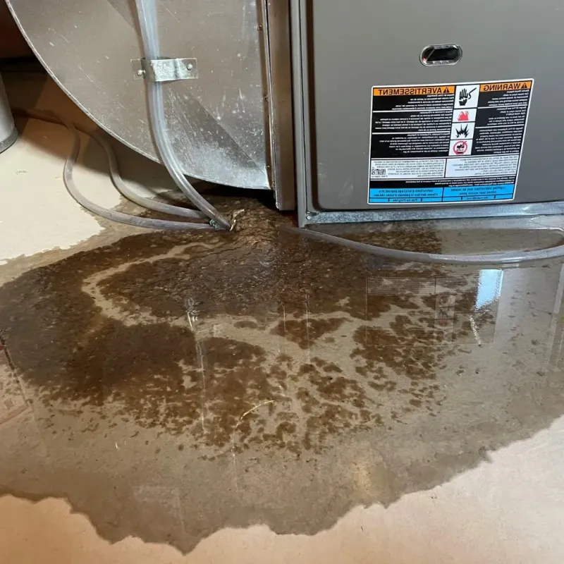 Pipe Burst and Leak Restoration in Anderson Mill, TX