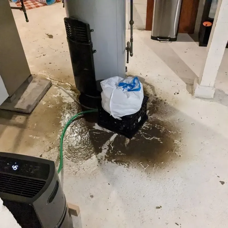 Sewage Backup Cleanup Service in Anderson Mill, TX